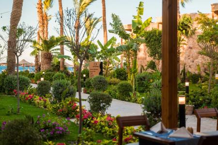 Jewels Sahara Boutique Resort - 22