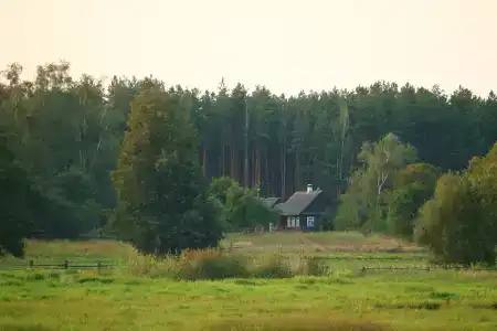 Мшанка - 17