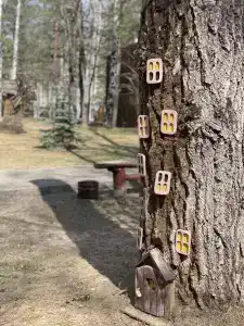 На Ватоме - 14