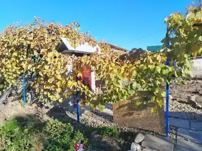 Ахтари - 49