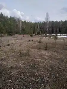 Витязь - 5