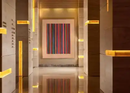The Ritz-Carlton - 13