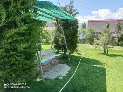 Подсолнухи - 49