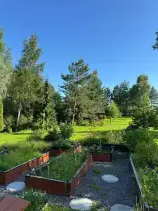 Подворье - 24