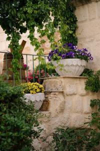 Cappadocia Cave Suites - 4