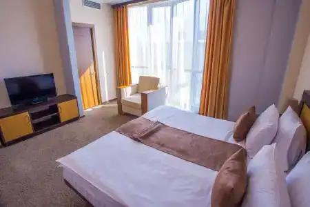 Ani Central Inn - 28