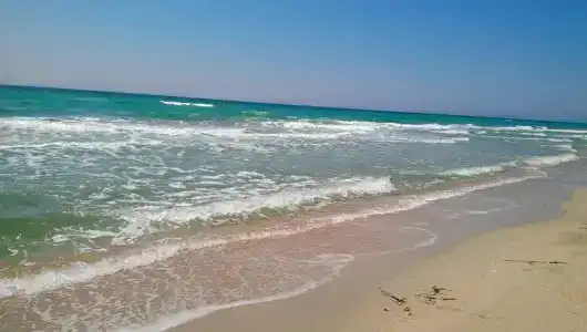 Del Mar - 11