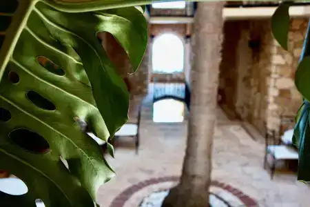 Villa Tamara - 22
