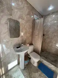 Артин - 29