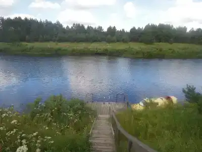 Медведица - 17
