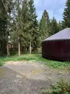 Юрта среди сосен - 19