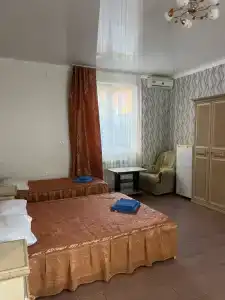 Виолетта - 33