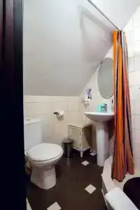 Три кота - 154