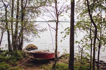 Saimaa Life - 25