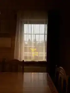 медника Чичерина - 16