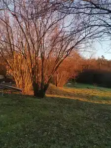 Грушöвая вода - 56