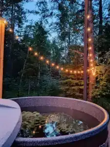 4 луны - 20