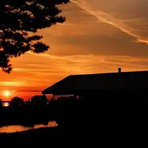 Челмужская усадьба - 111