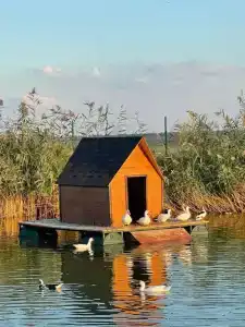 Экопарк Великокняжеский Остров - 8