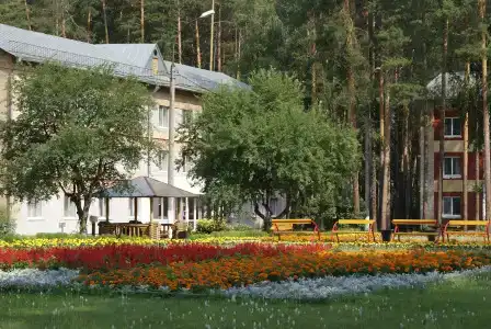 Красная Гвоздика - 3