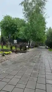 Древно - 18