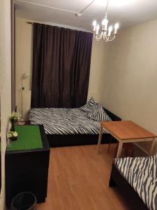 Zebra Hostel - 6