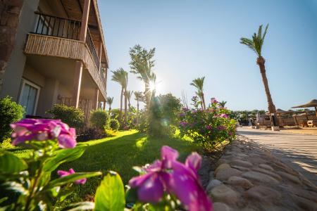 Jewels Sahara Boutique Resort - 4
