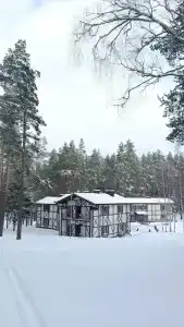 Заячья поляна - 41