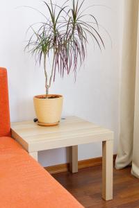 на Карла Маркса - 27