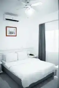 Mount View - 4