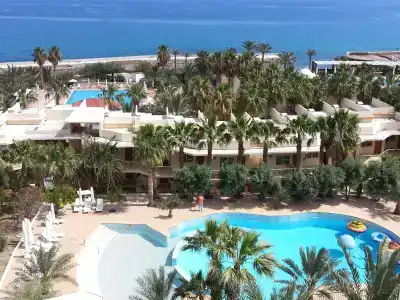 Oscar on a Sandy Beach & Casino - 17