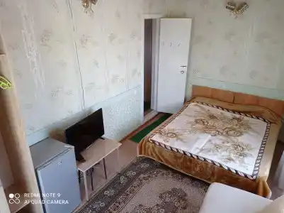 Подсолнухи - 74