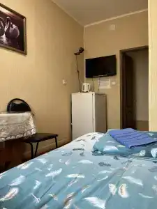 Спутник - 10