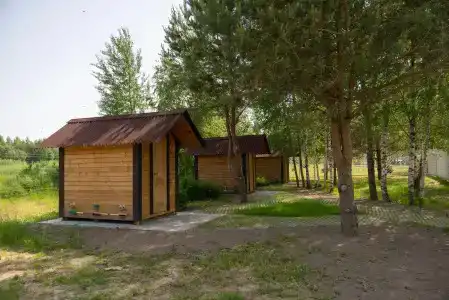 Акварель - 5