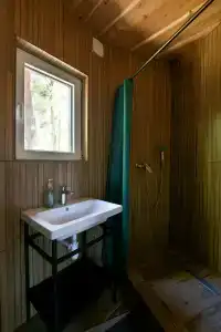 Рой Джой - 29
