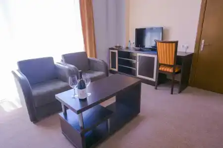 Ani Central Inn - 21