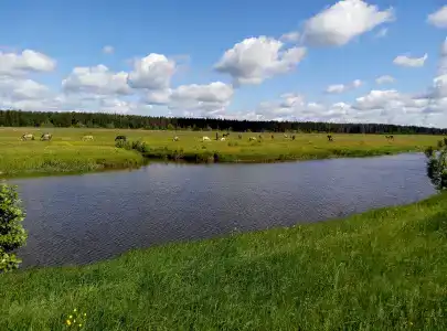 Гостевой дом на Волге в Соболево - 24