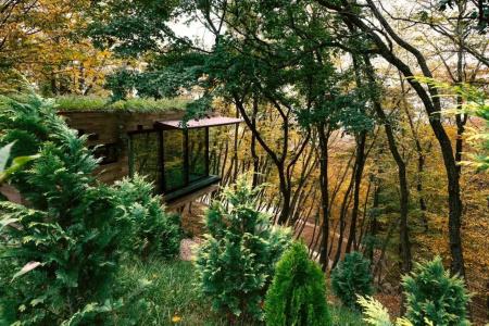Bioli Wellness Resort - 14