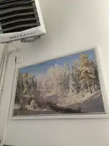 Подснежник - 27