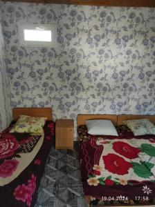 Под пальмой - 47