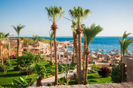 Jewels Sahara Boutique Resort - 9