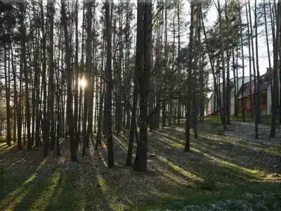 Огонек - 29