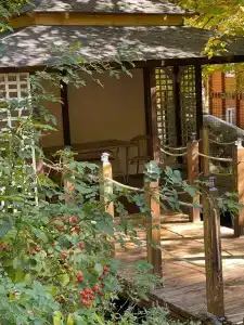 Chalet Monte - 5