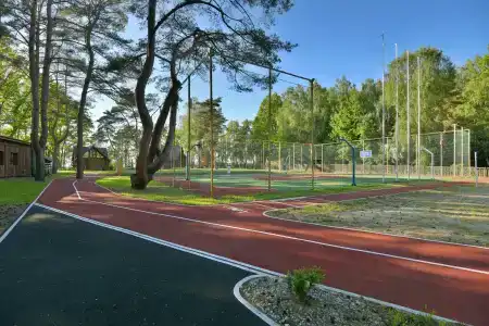 Рой Джой - 7