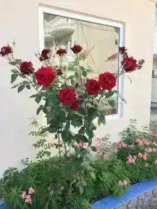 Летний бриз - 23