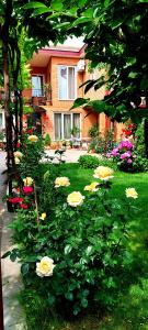 Green Garden - 3