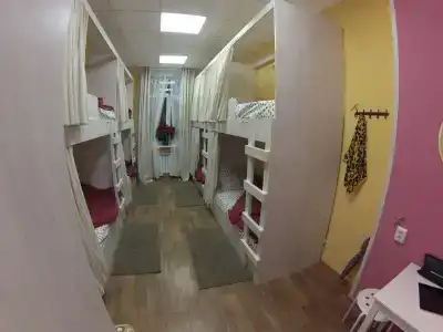 Габзов - 33
