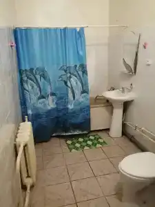 Звездный - 24