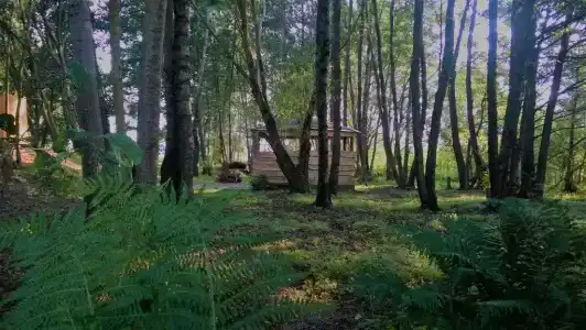Гостиный двор в деревне Дайнова - 4