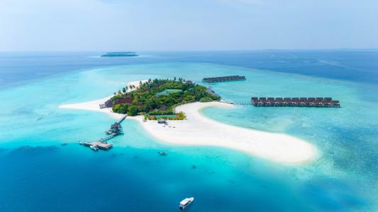 Dhigufaru Island Resort - 0